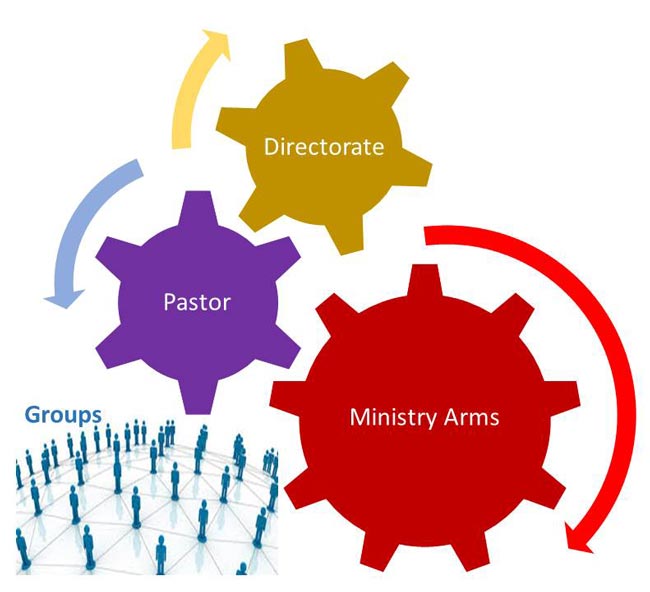 tremlifecamp synergy